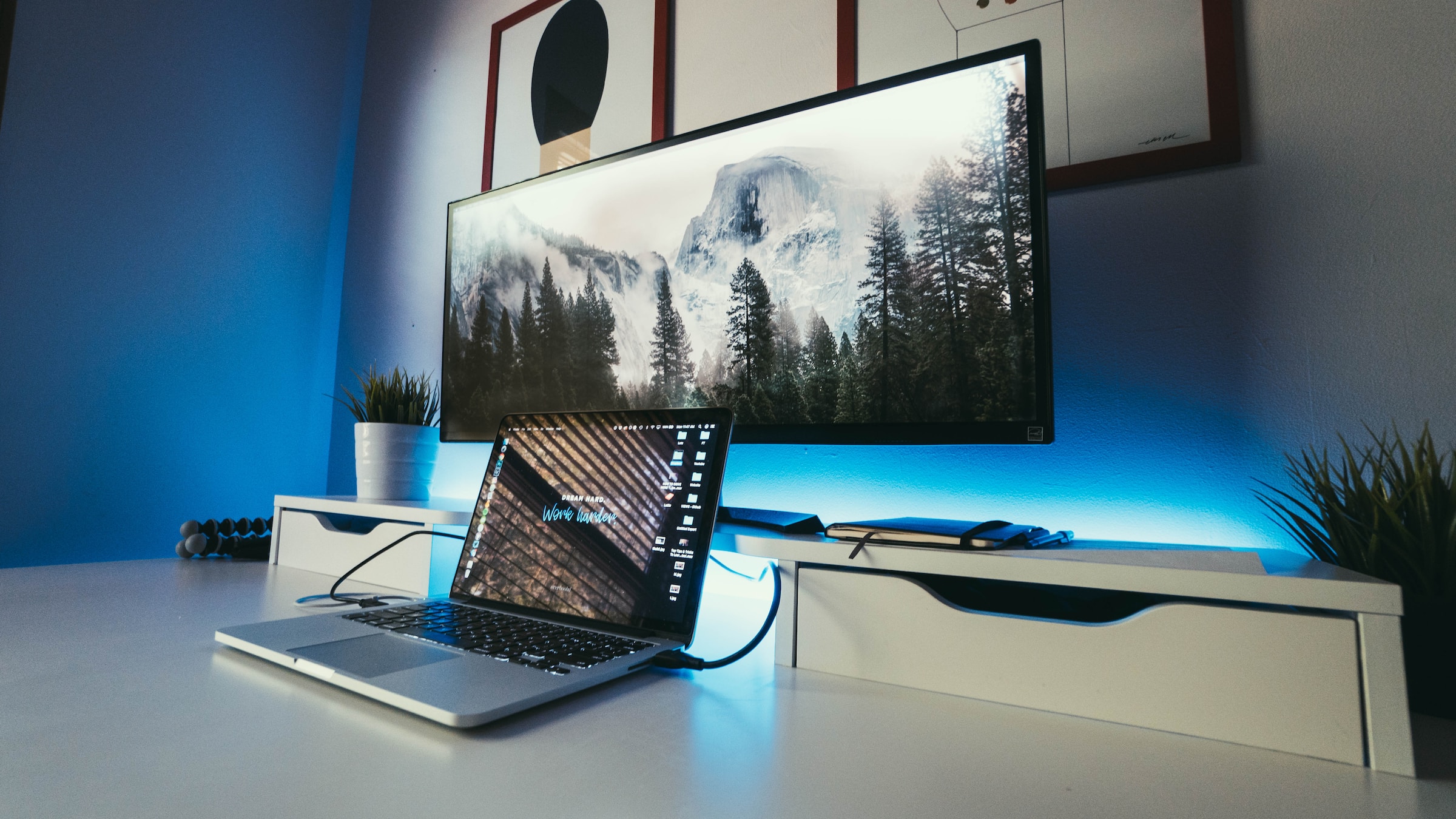 The Best Asus 4K Monitors: Our Top Picks