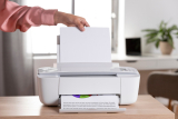 The Best Inkjet Printers For Art Prints: Out Top Picks 